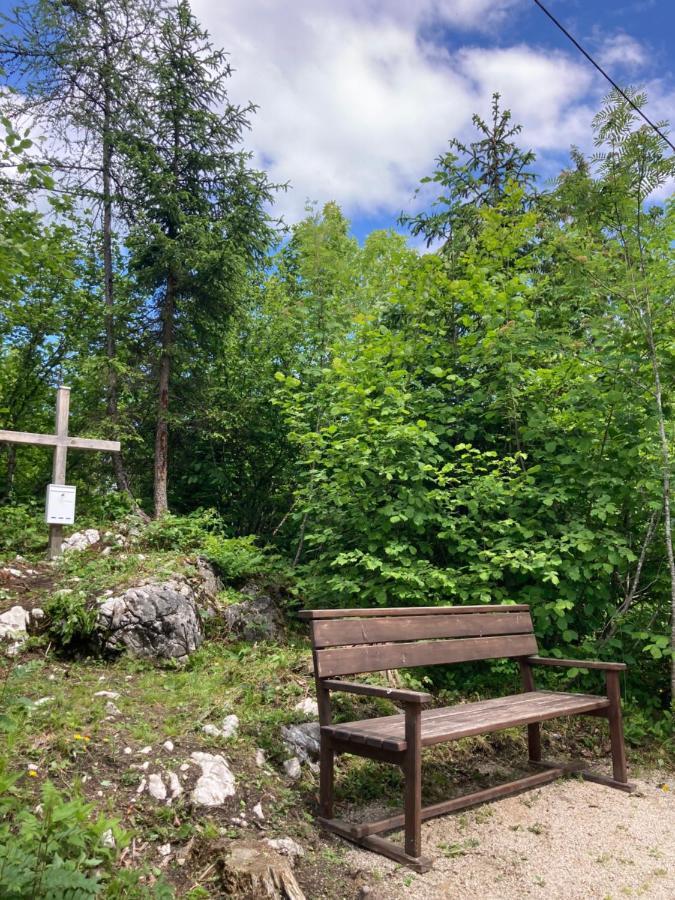 Das Schutzhaus-Bed And Breakfast-Dein Basislager Im Salzkammergut Bad Aussee Εξωτερικό φωτογραφία